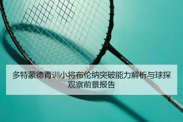 多特蒙德青训小将布伦纳突破能力解析与球探观察前景报告 - 新闻资讯相关报道缩略图